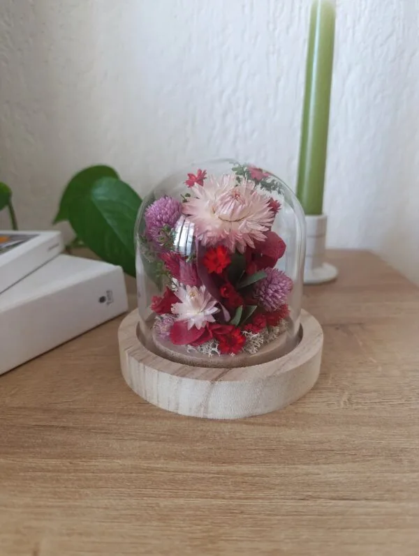 Cloche - Aphrodite