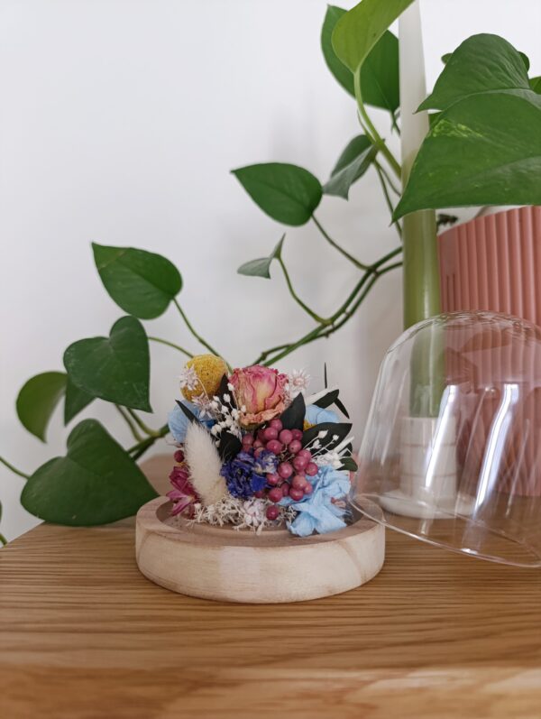 Cloche - Daphne – Image 2