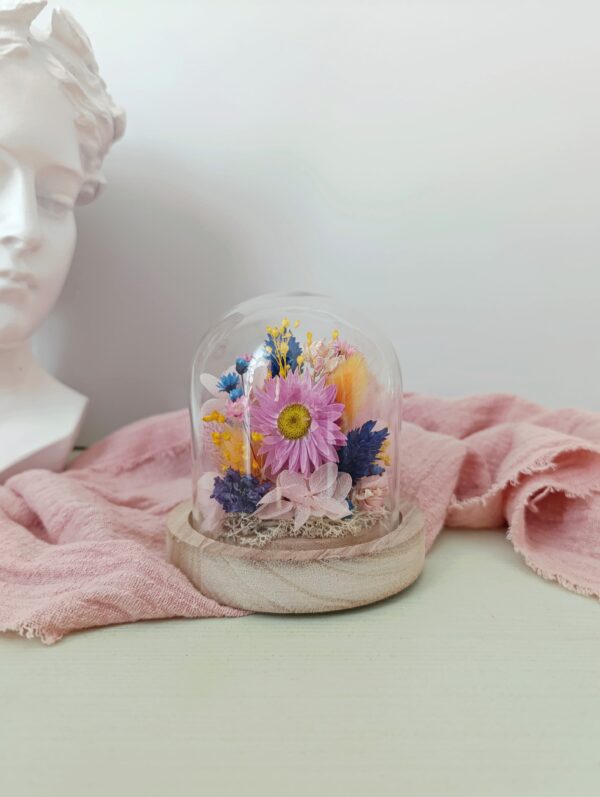 Cloche - Ariane
